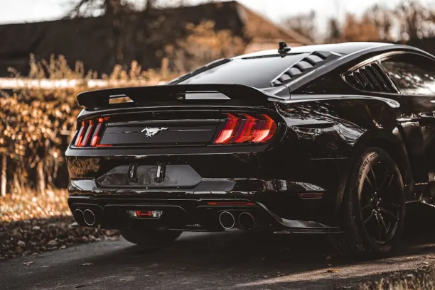 PlaySunny Casino Android/iOS Forrit